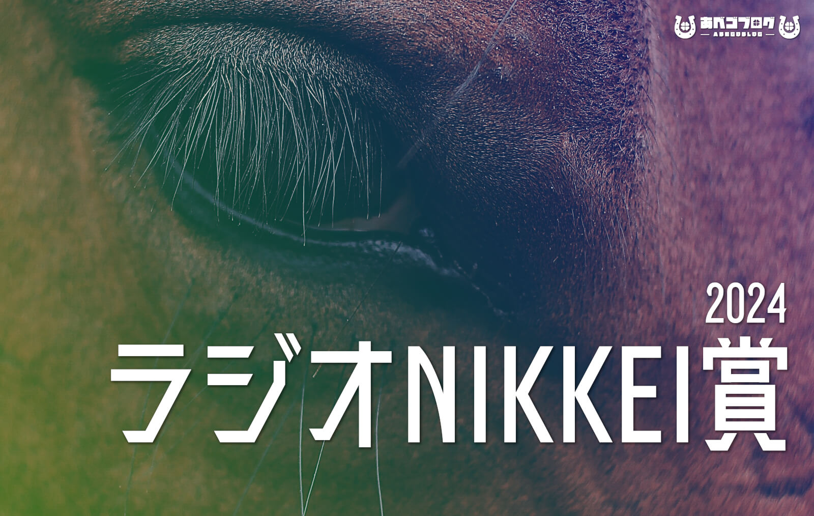 2024ラジオNIKKEI賞アイキャッチ