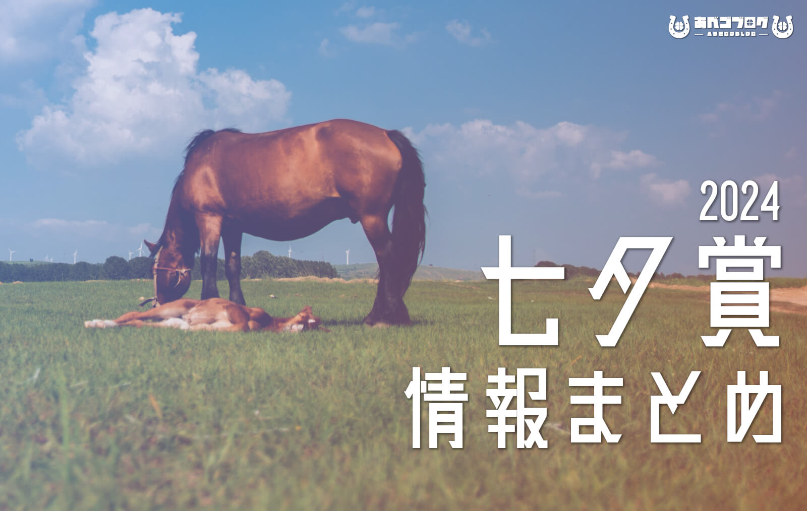 2024七夕賞まとめアイキャッチ