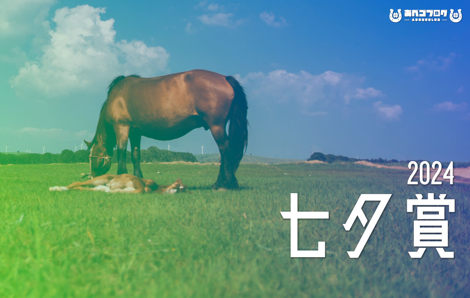 2024七夕賞アイキャッチ