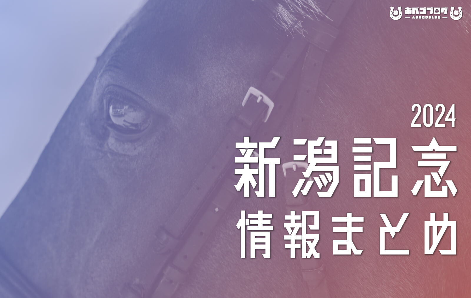 2024新潟記念まとめアイキャッチ
