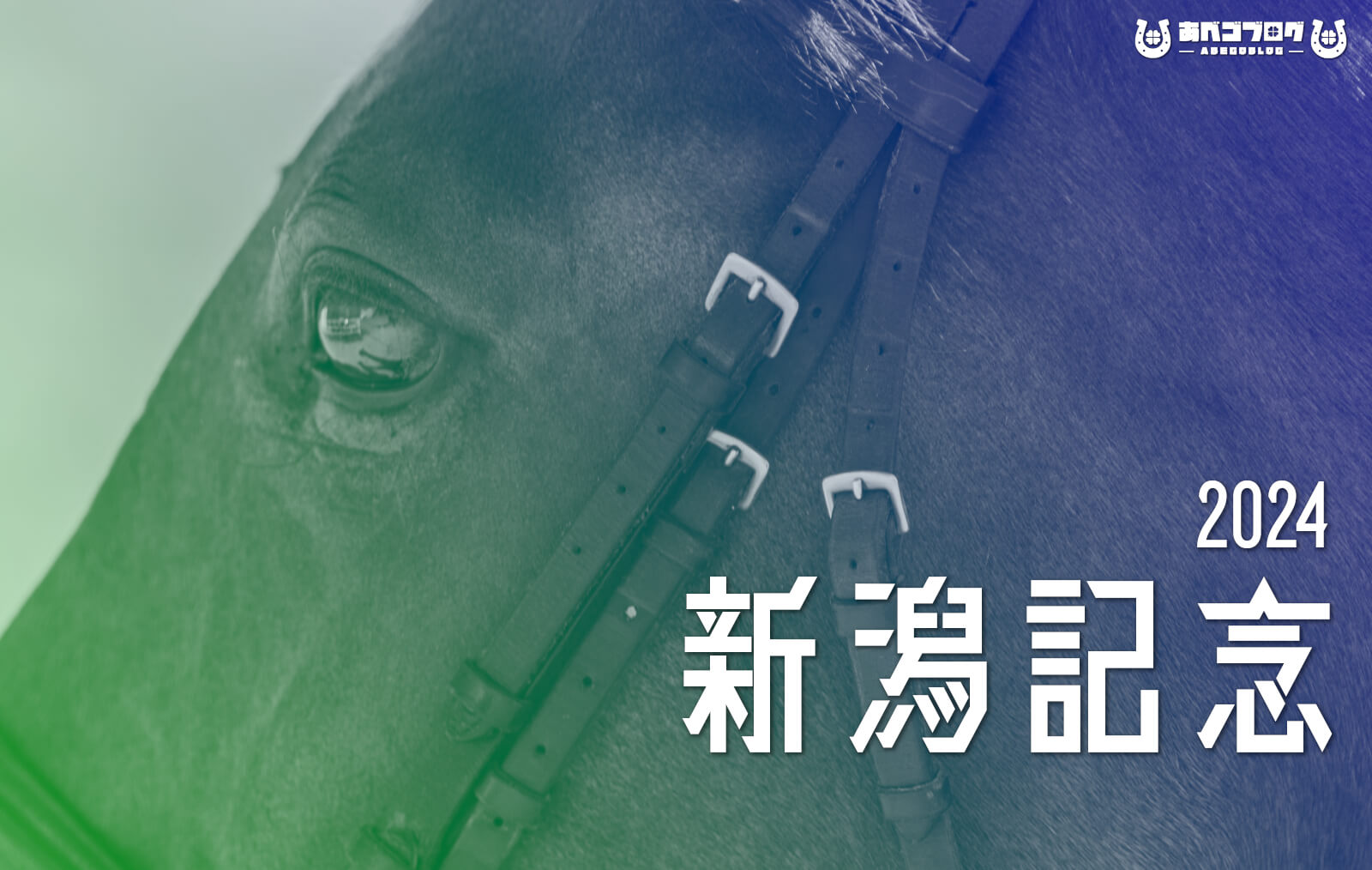 2024新潟記念アイキャッチ