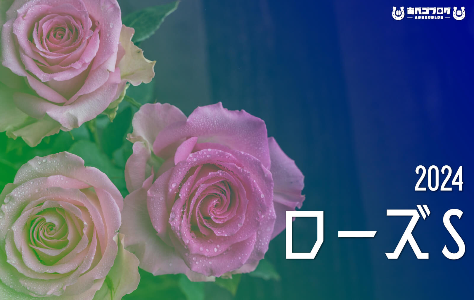 2024ローズSアイキャッチ