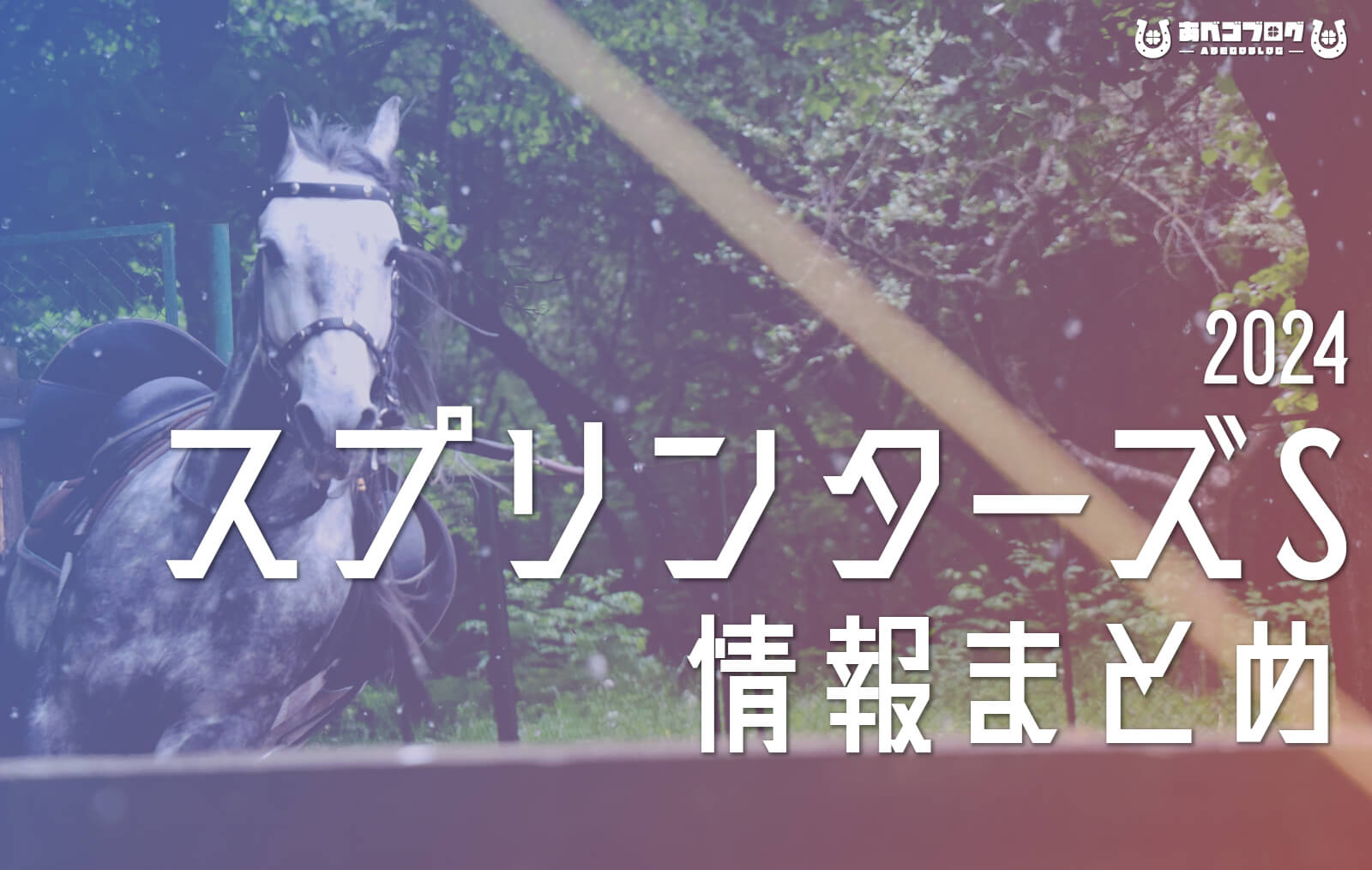 2024スプリンターズSアイキャッチ