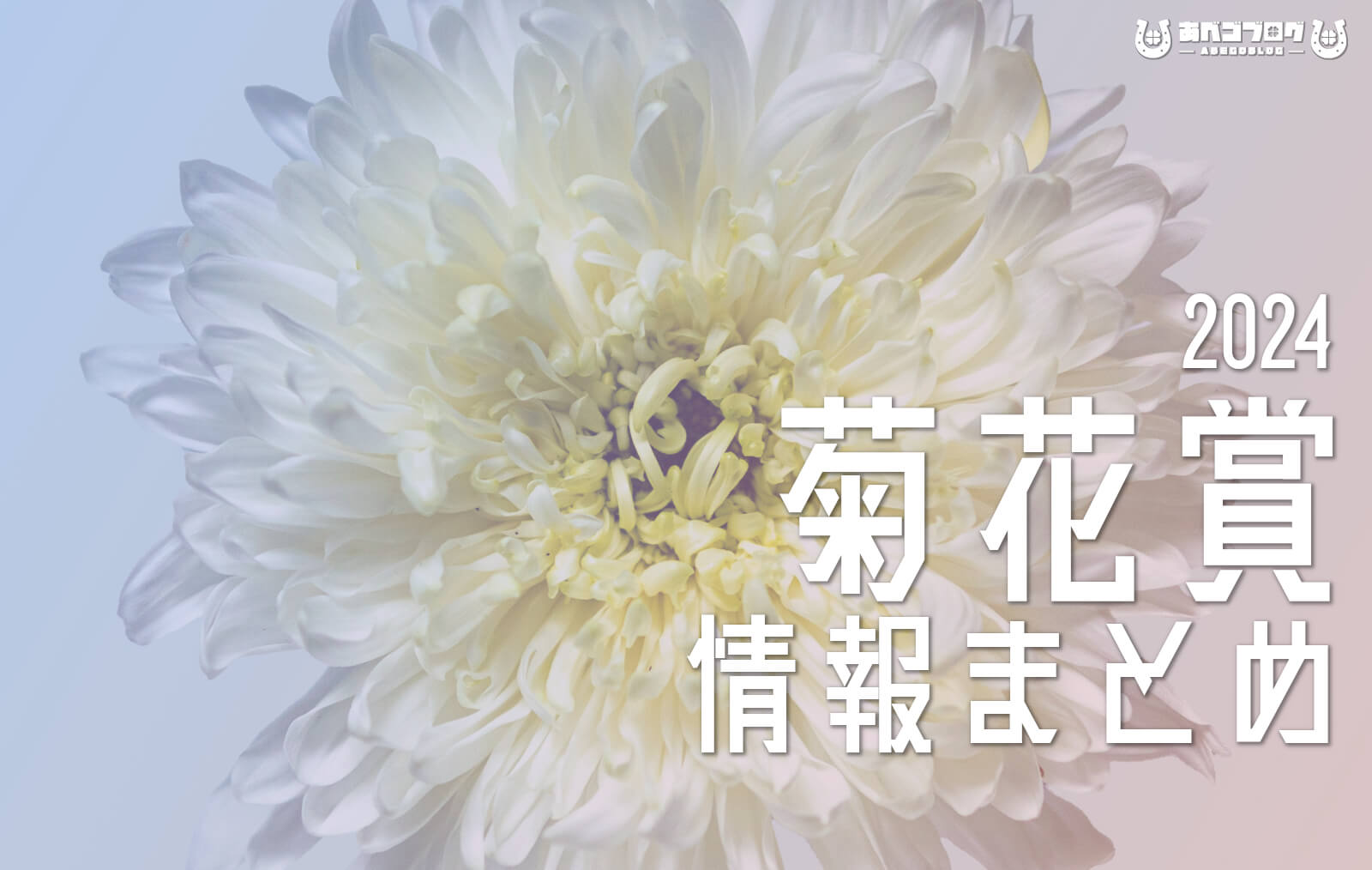 2024菊花賞まとめアイキャッチ