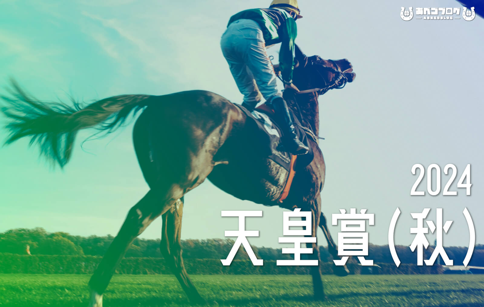2024天皇賞秋アイキャッチ