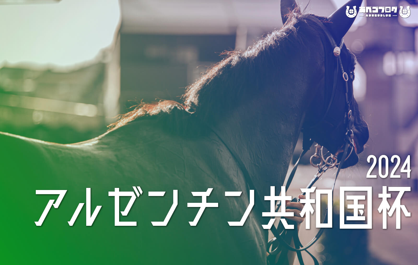 2024アルゼンチン共和国杯アイキャッチ