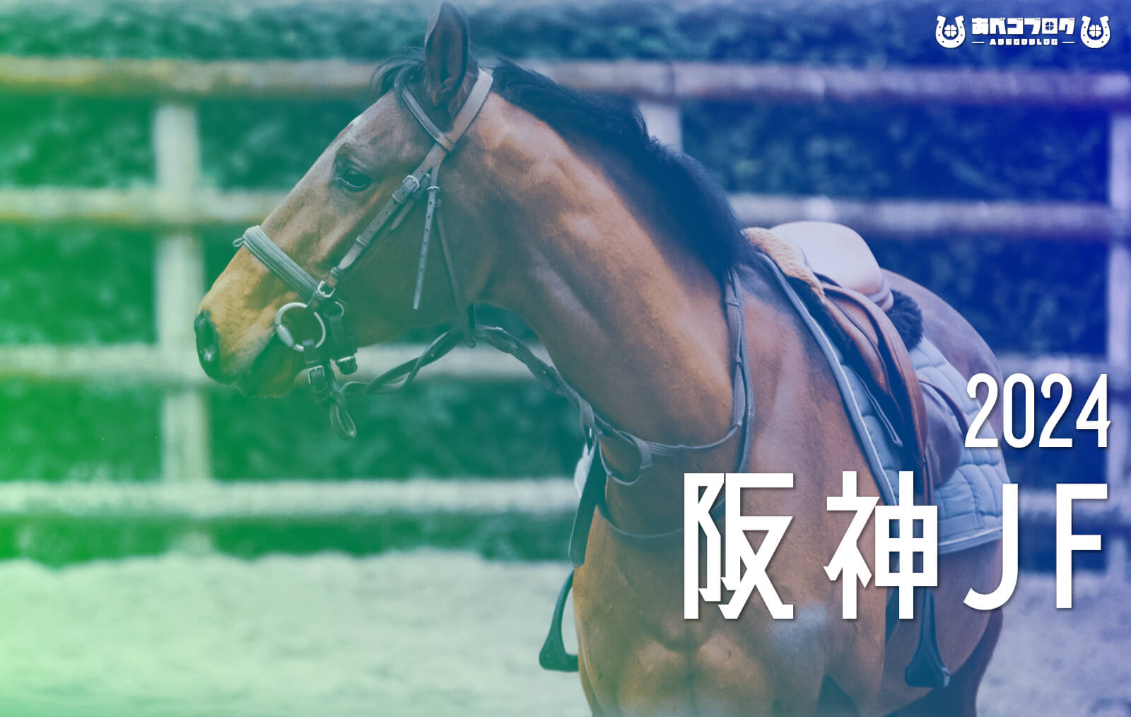 2024阪神JFアイキャッチ