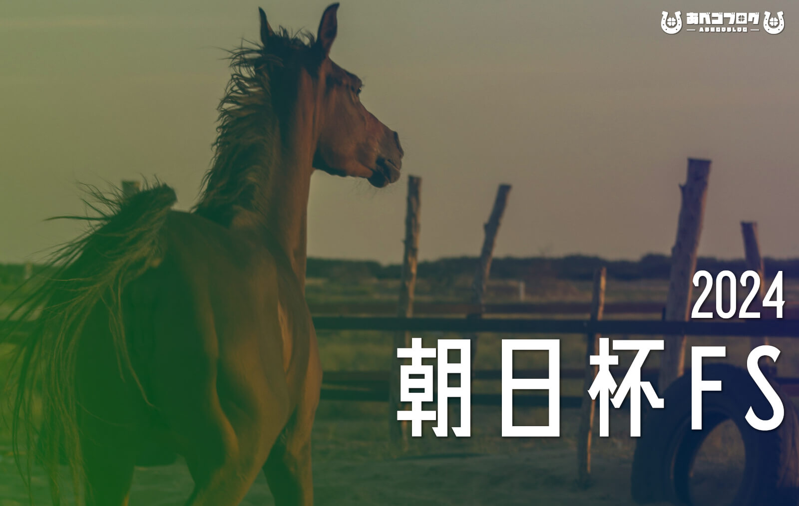 2024朝日杯FSアイキャッチ