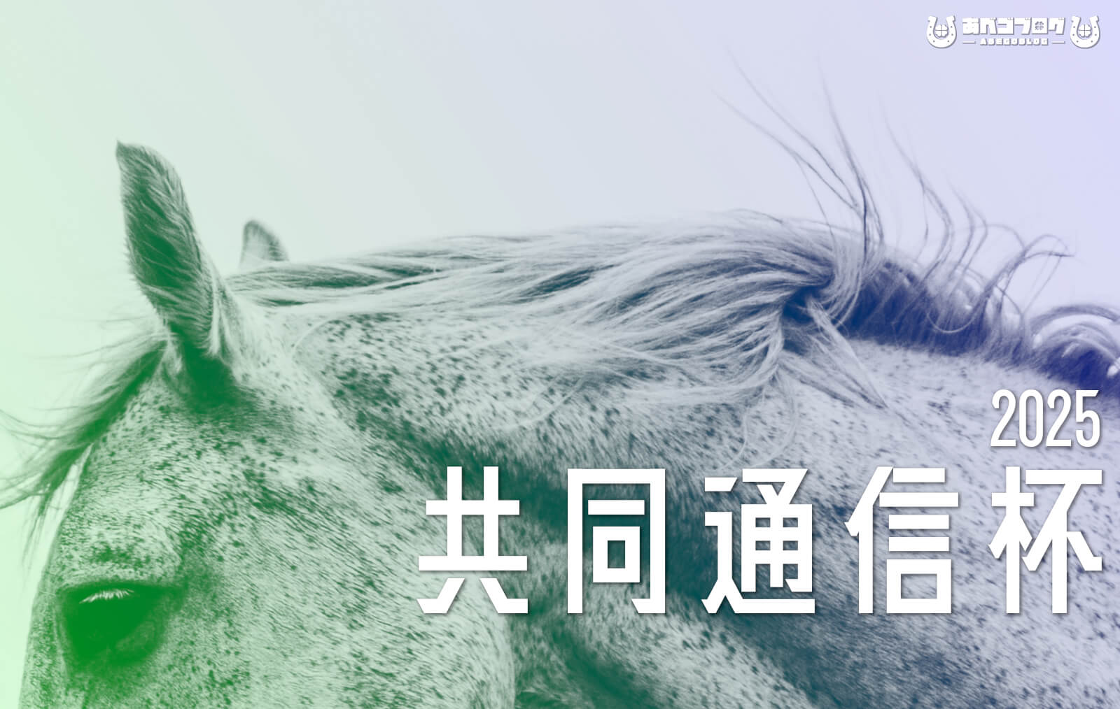 2025共同通信杯アイキャッチ