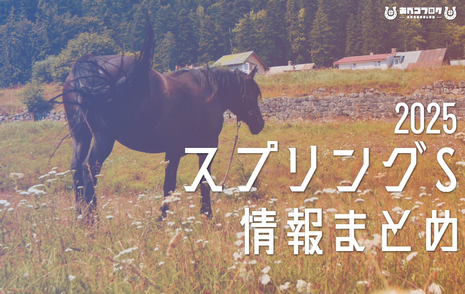 2025スプリングSまとめアイキャッチ