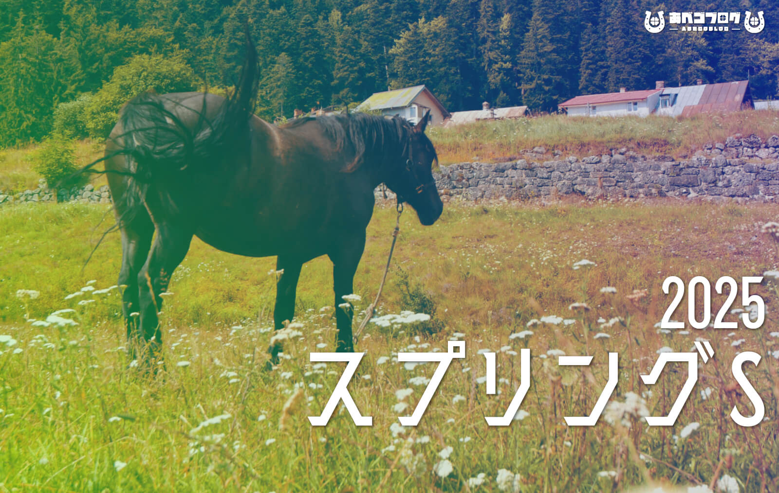 2025スプリングSアイキャッチ
