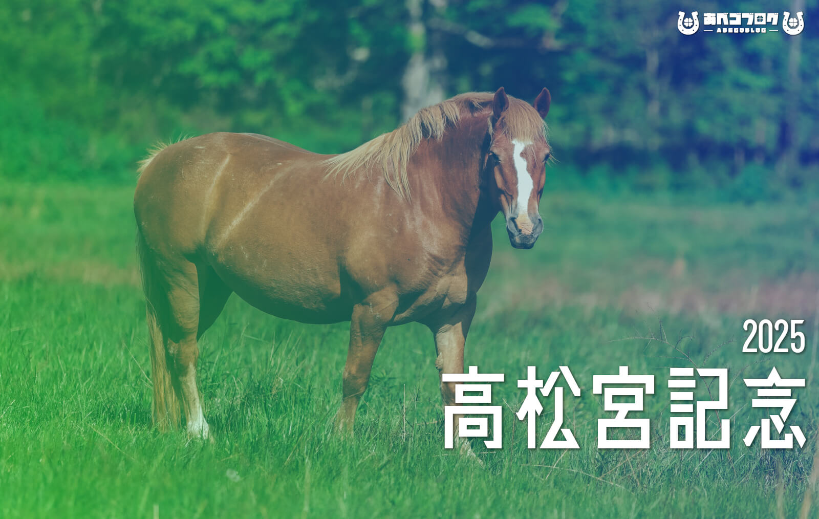 高松宮記念2025アイキャッチ