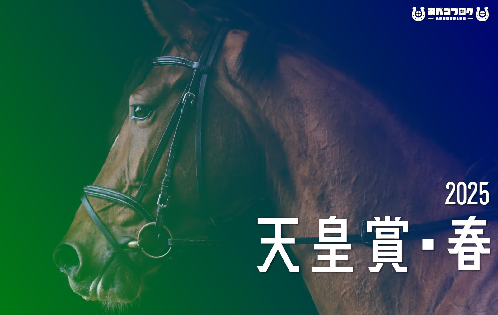 天皇賞春2025アイキャッチ